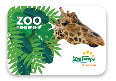 Connect With Us. . Tampa zoo membership renewal